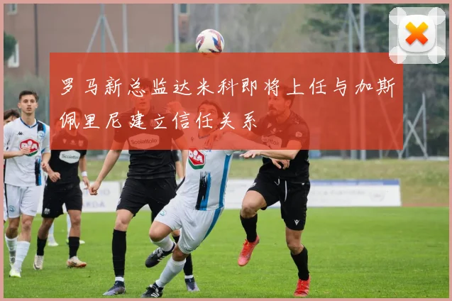罗马新总监达米科即将上任与加斯佩里尼建立信任关系